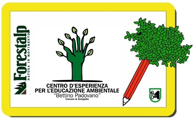 logo CEA Senigallia