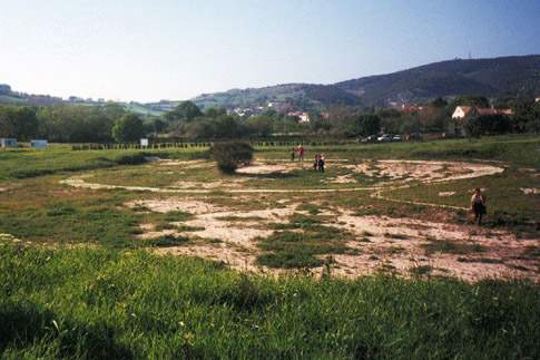 Necropoli picena in Località dei Pini