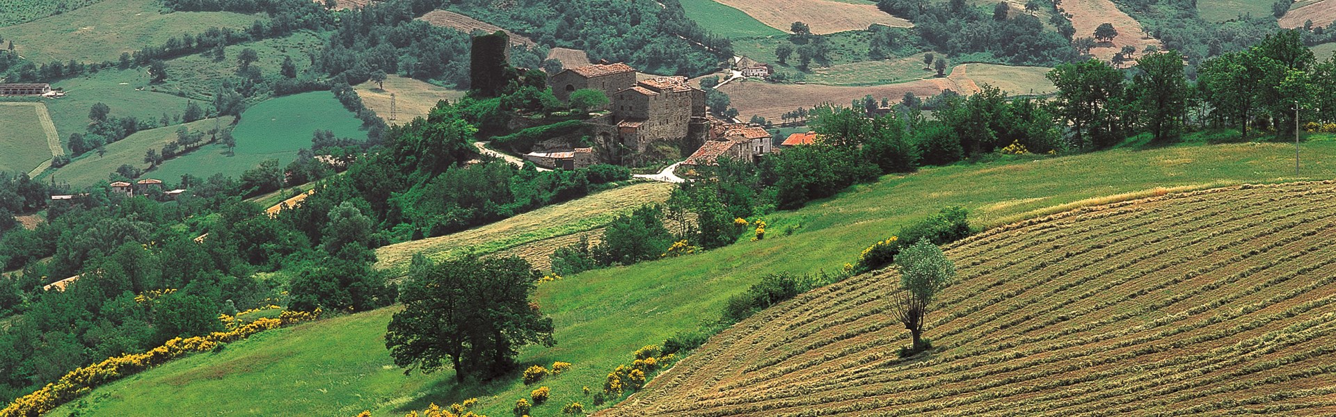 Petriano - Panorama