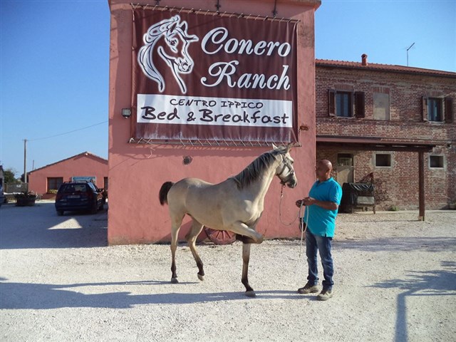 Conero Ranch
