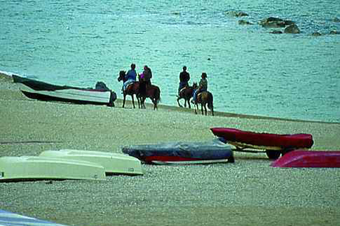 Passeggiate a cavallo lungo la spiaggia di Porto Recanati