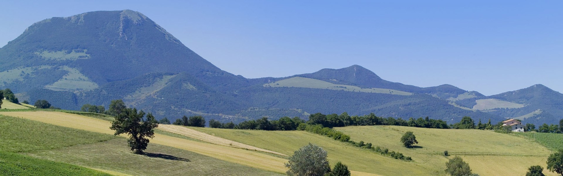 Riserva Naturale Monte San Vicino e Monte Canfaito