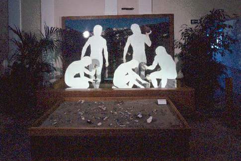 Sala del museo dedicata al Giacimento Paleolitico di Ponte Pietra