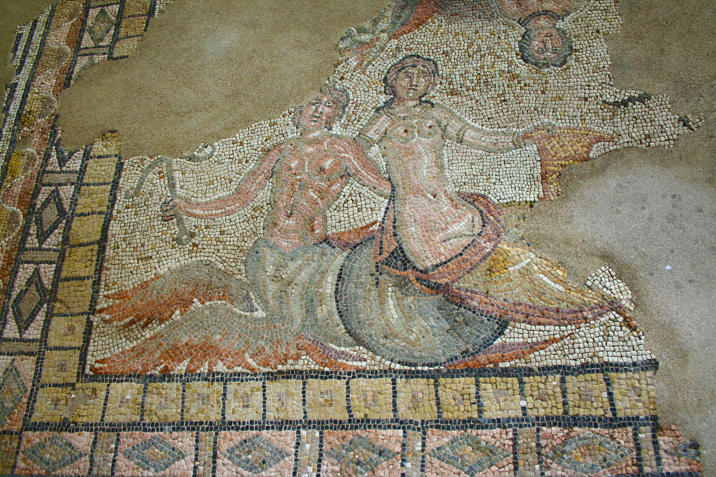 Città Romana di Suasa - Particolare di mosaico