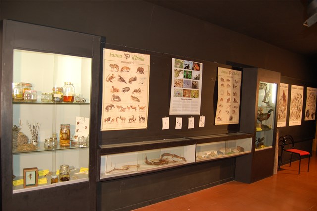museo CEA Valleremita
