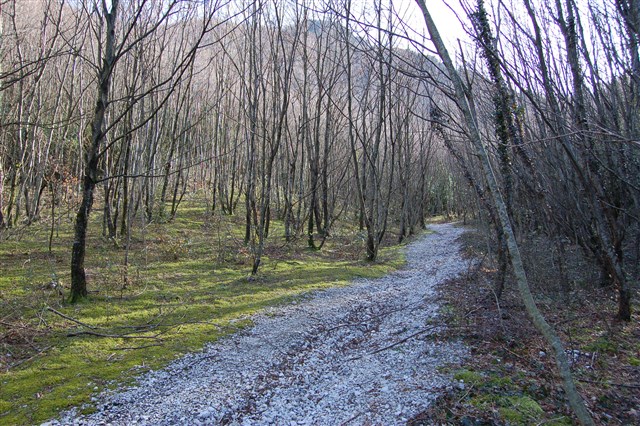 Fabriano - Tra i boschi e spiritualità a Valleremita