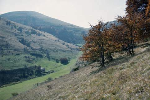 Paesaggio naturale della Riserva Naturale "Montagna di Torricchio"