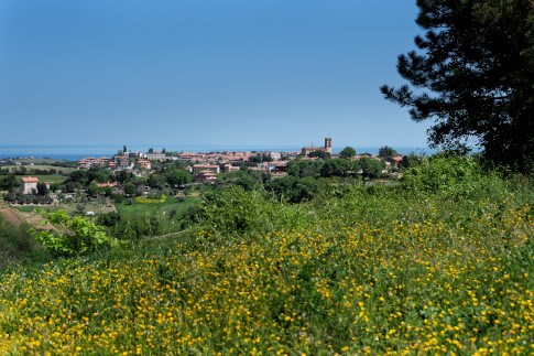 San Costanzo - panorama