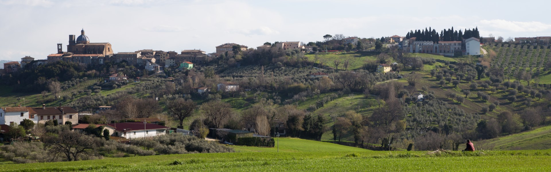 Monte San Vito - Panorama